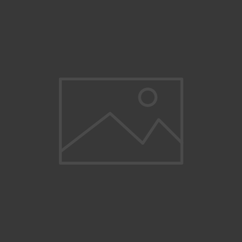 Placeholder image of 500x500 pixels