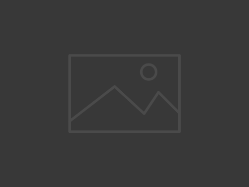 Placeholder image of 503x377 pixel